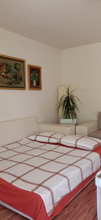 Branysol Apartman Novi Sad Exterior foto